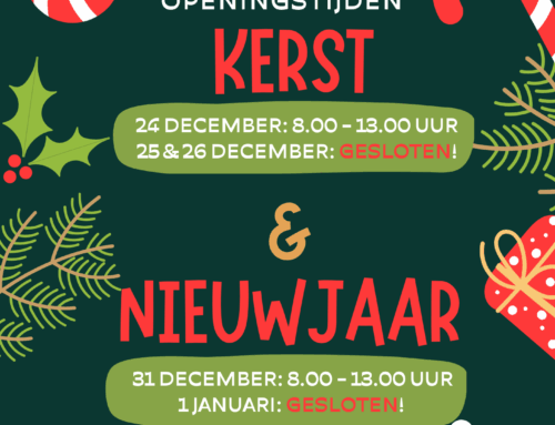 Kerst & Nieuwjaar 2025